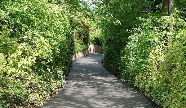 Einmal Amrein, immer Amrein - Hallwil Zufahrtstrasse Oberrüti