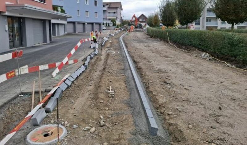Rickenbach Moosmattstrasse - 2